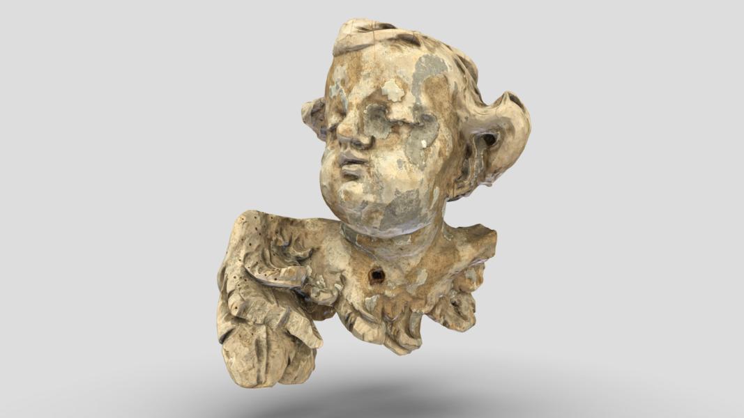 Крилата голівка ангелика