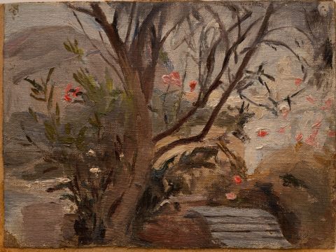 Capri. Oleanders 1