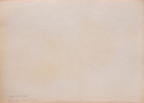 Portrait Drawing of a Man 2