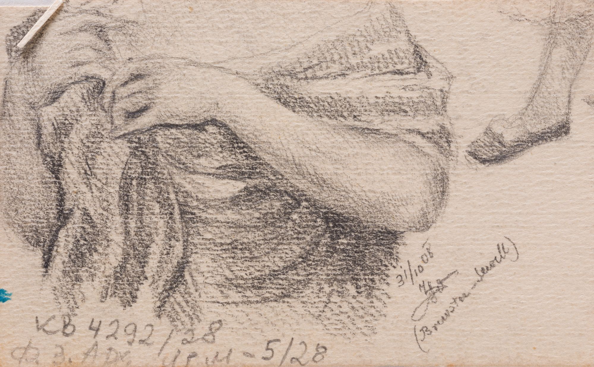 Drawing of a Woman's Bust 2