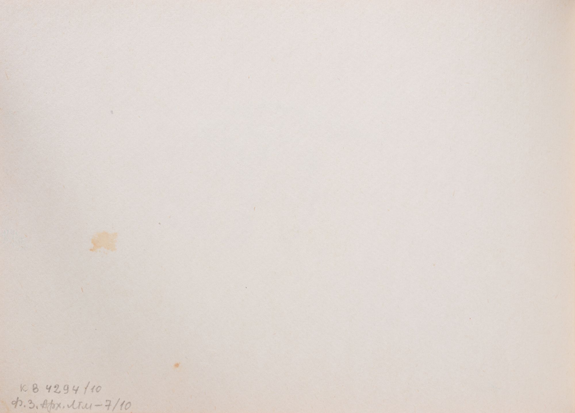 Drawing of a Rose 2