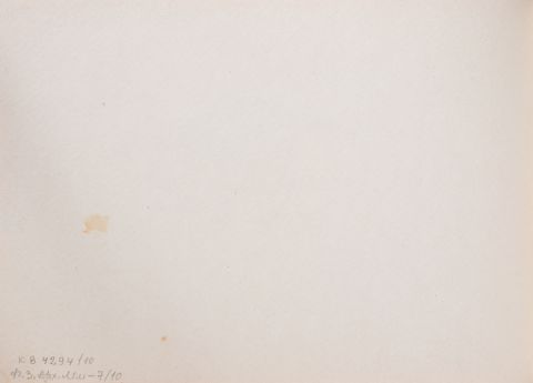Drawing of a Rose 2
