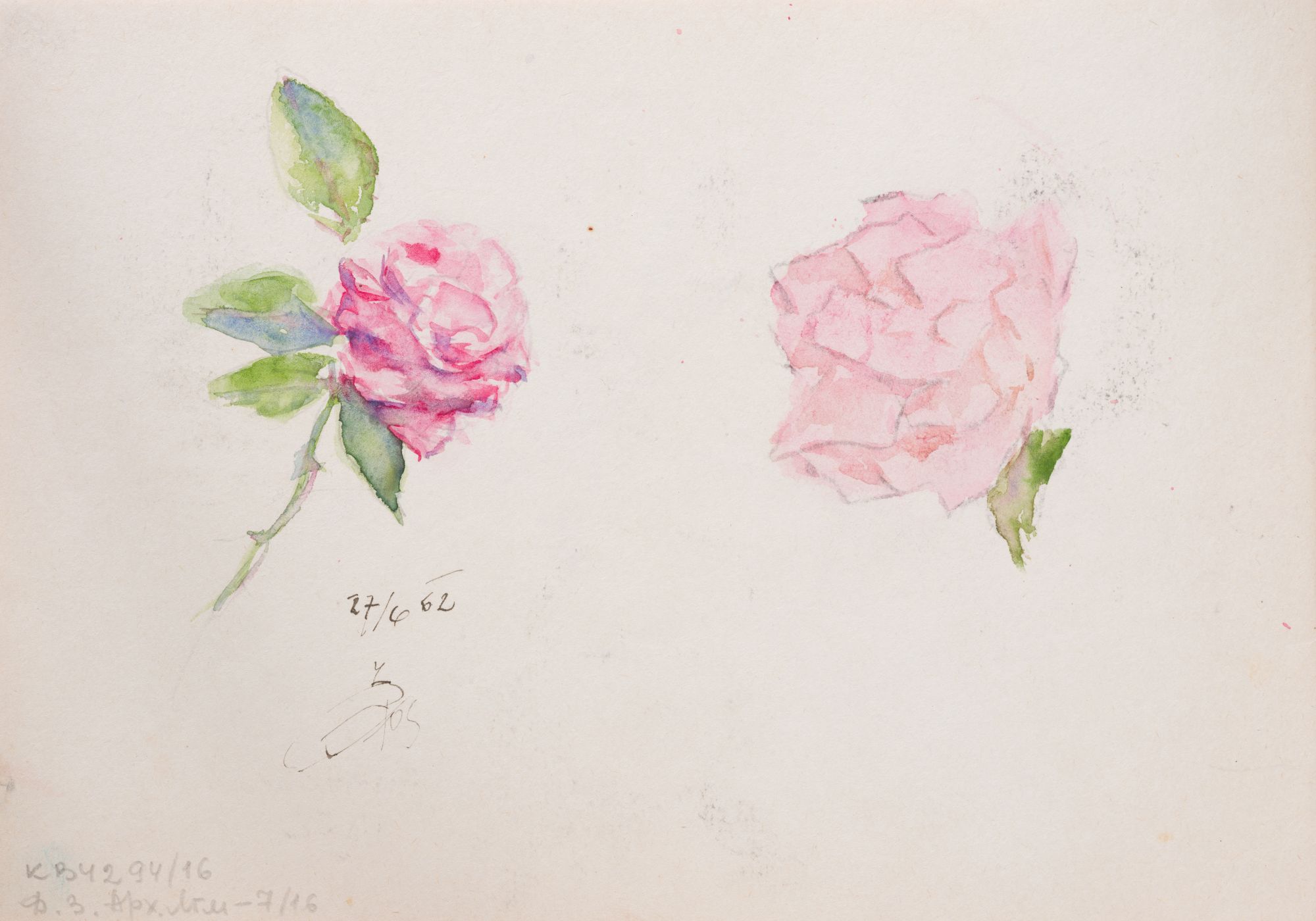 Drawing of a Rose 2