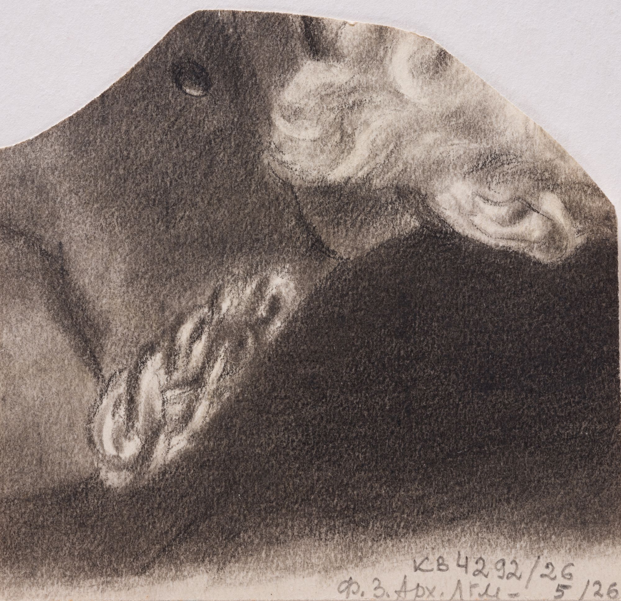 Drawing of a Man's Head 2