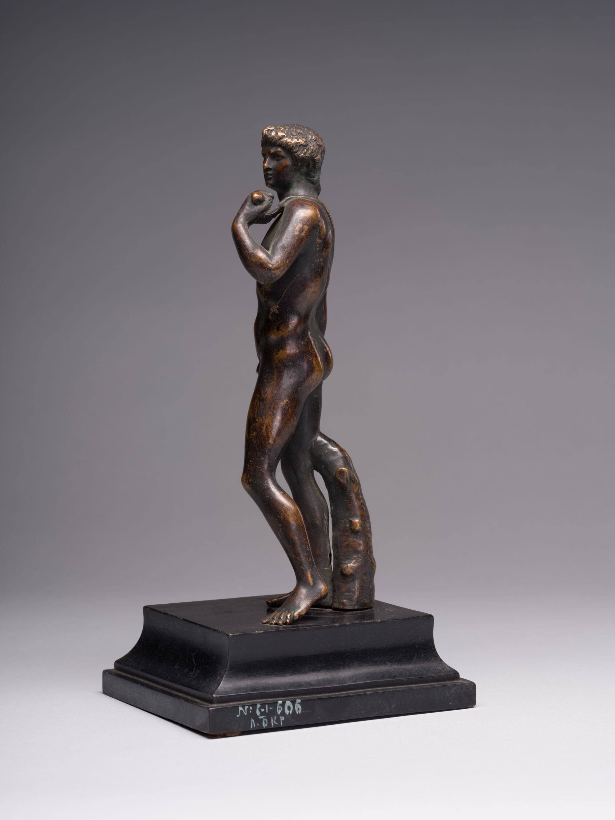David (from Michelangelo's Work) 2