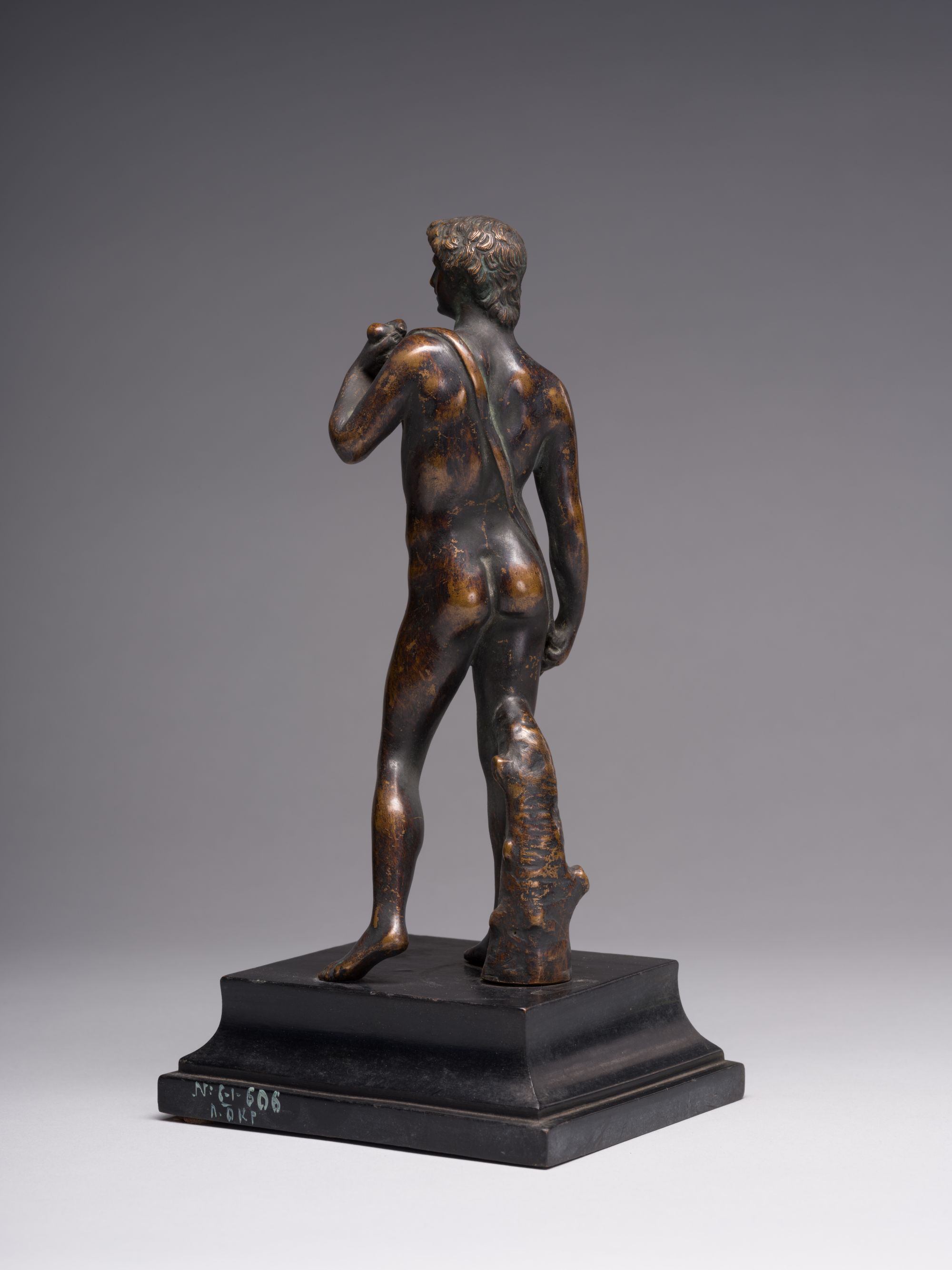 David (from Michelangelo's Work) 3