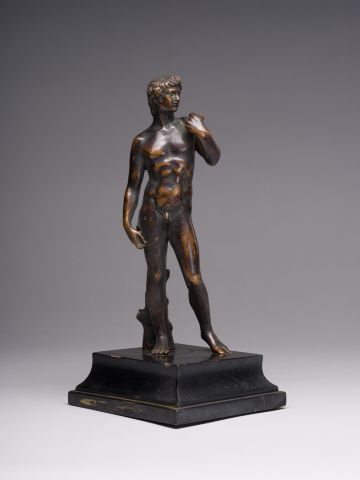 David (from Michelangelo's Work) 6