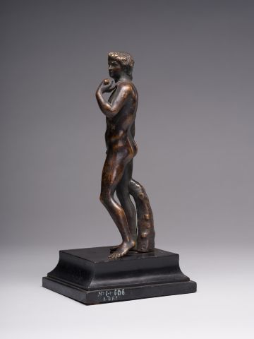 David (from Michelangelo's Work) 2