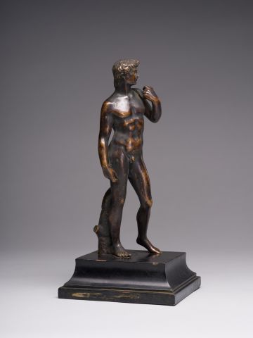 David (from Michelangelo's Work) 5