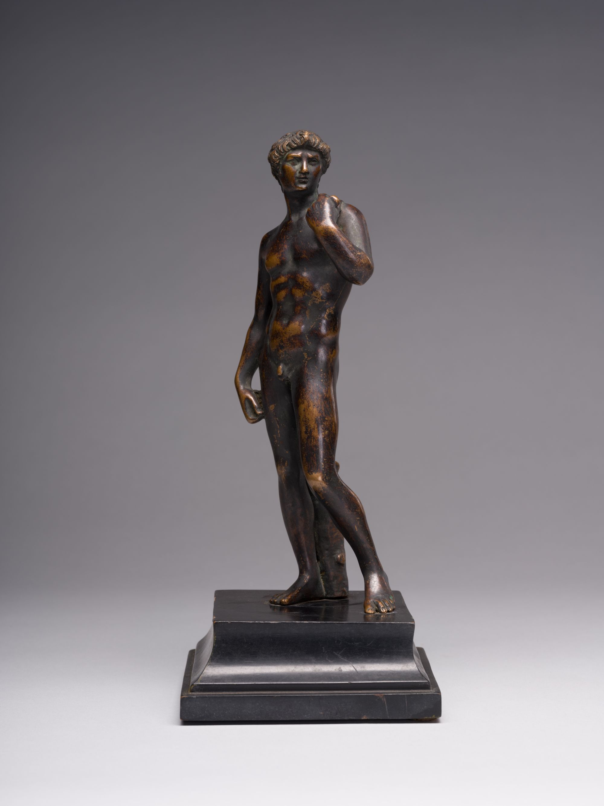 David (from Michelangelo's Work) 1