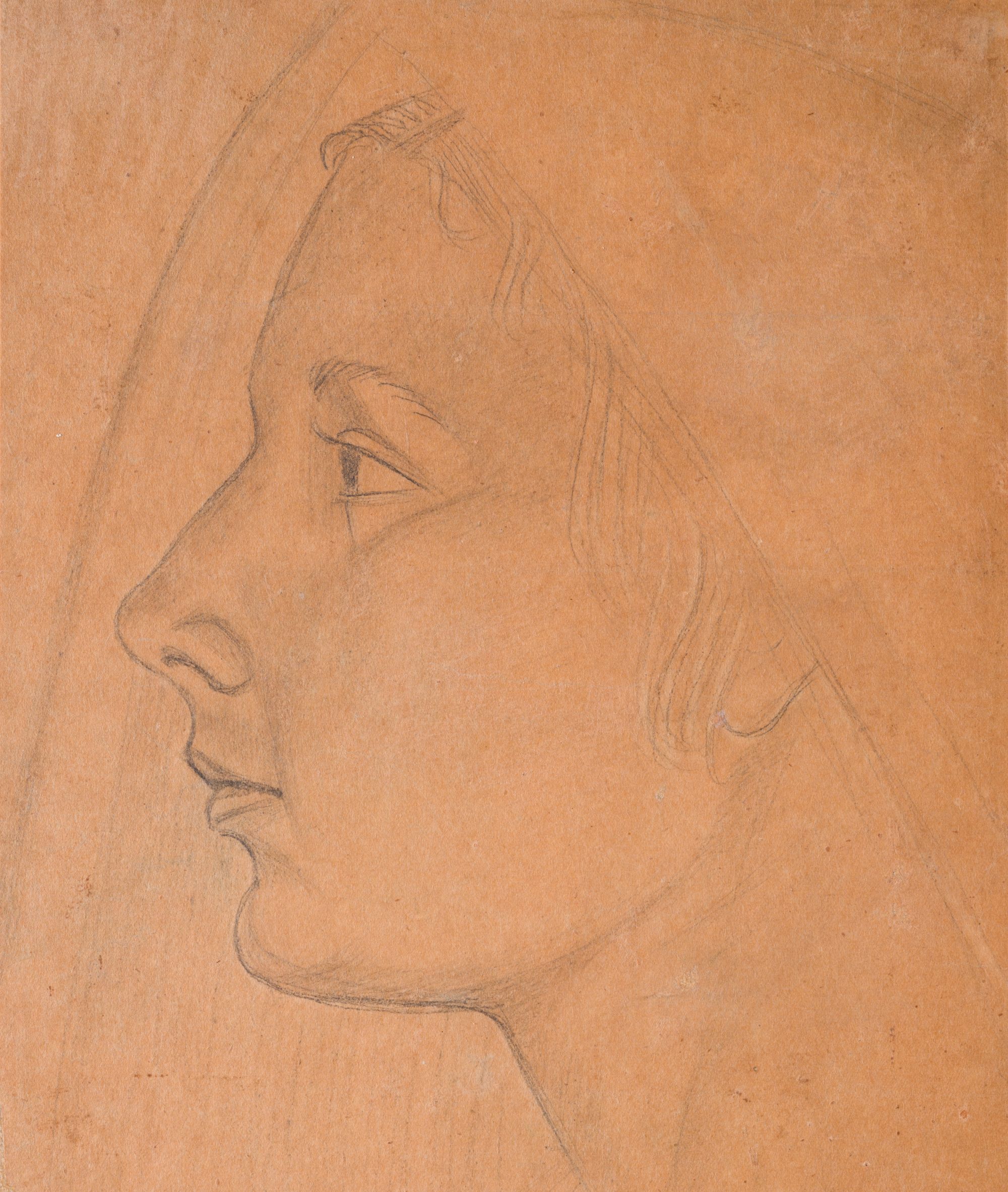 A Woman's Head. A Sketch 1