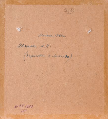 Sketch from a Painting by Leonardo da Vinci 2