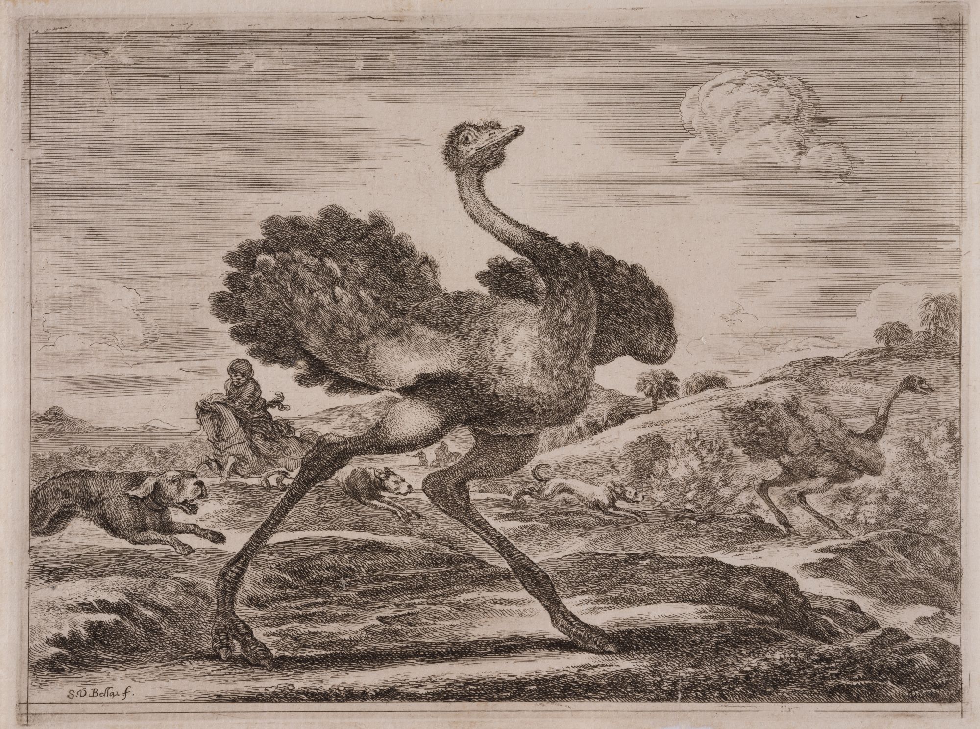 Ostrich Hunt. From the "Animal Hunts" Series