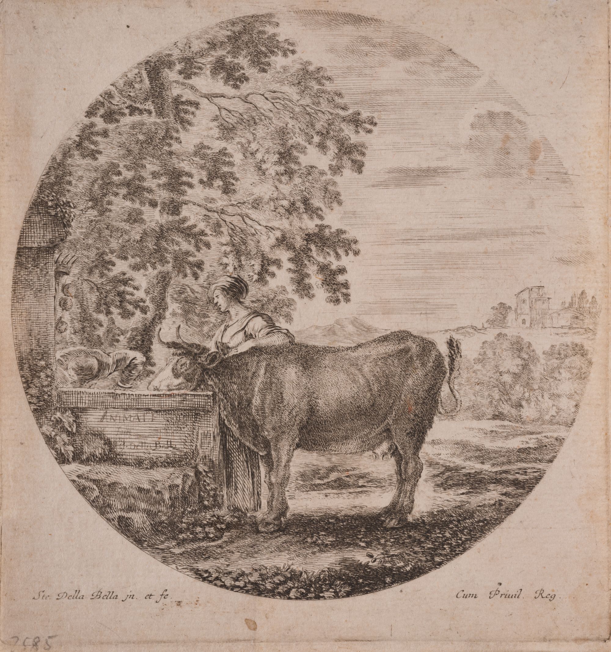 Cow Drinking from a Fountain Adorned with the Medici Coat of Arms. From the "Six Animal Subjects" Series