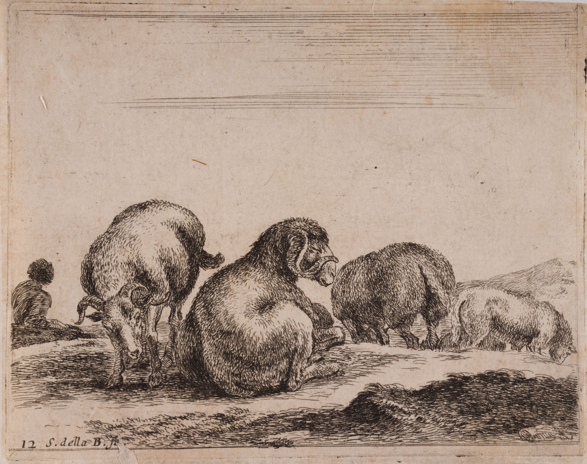 Sheep and a Ram in a Pasture. From the "Various Animals" Series, Plate 12