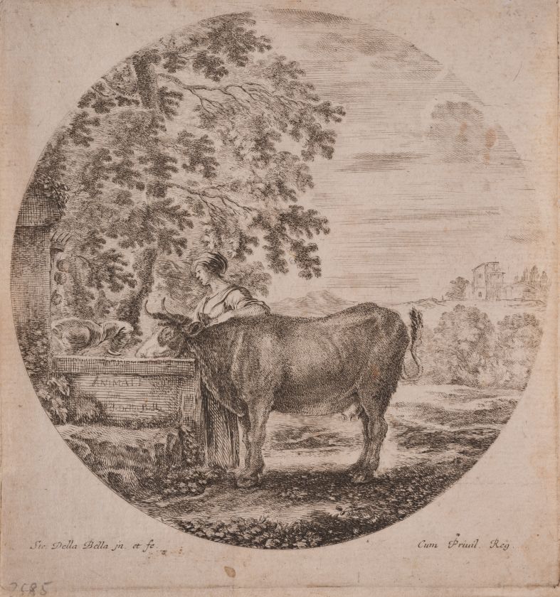 Cow Drinking from a Fountain Adorned with the Medici Coat of Arms. From the "Six Animal Subjects" Series — Stefano della Bella