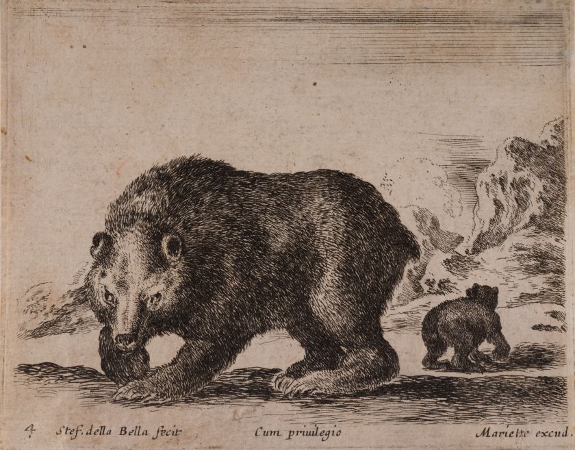 Bear. From the "Various Animals" Series, Plate 4 — Stefano della Bella