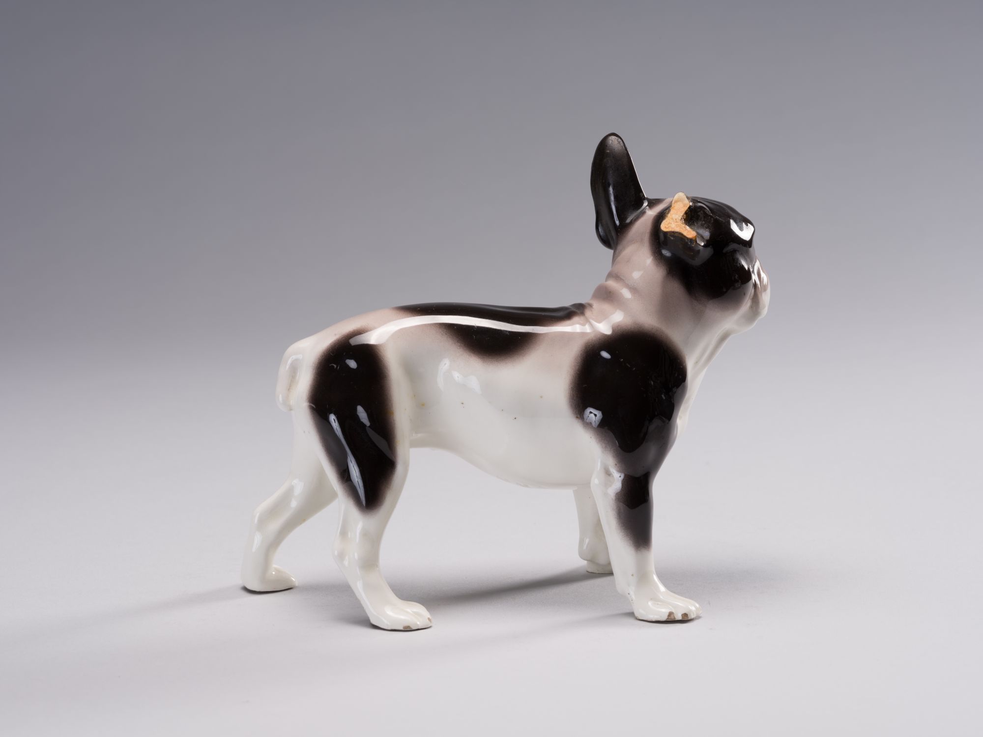 Statuette of a French Bulldog 8