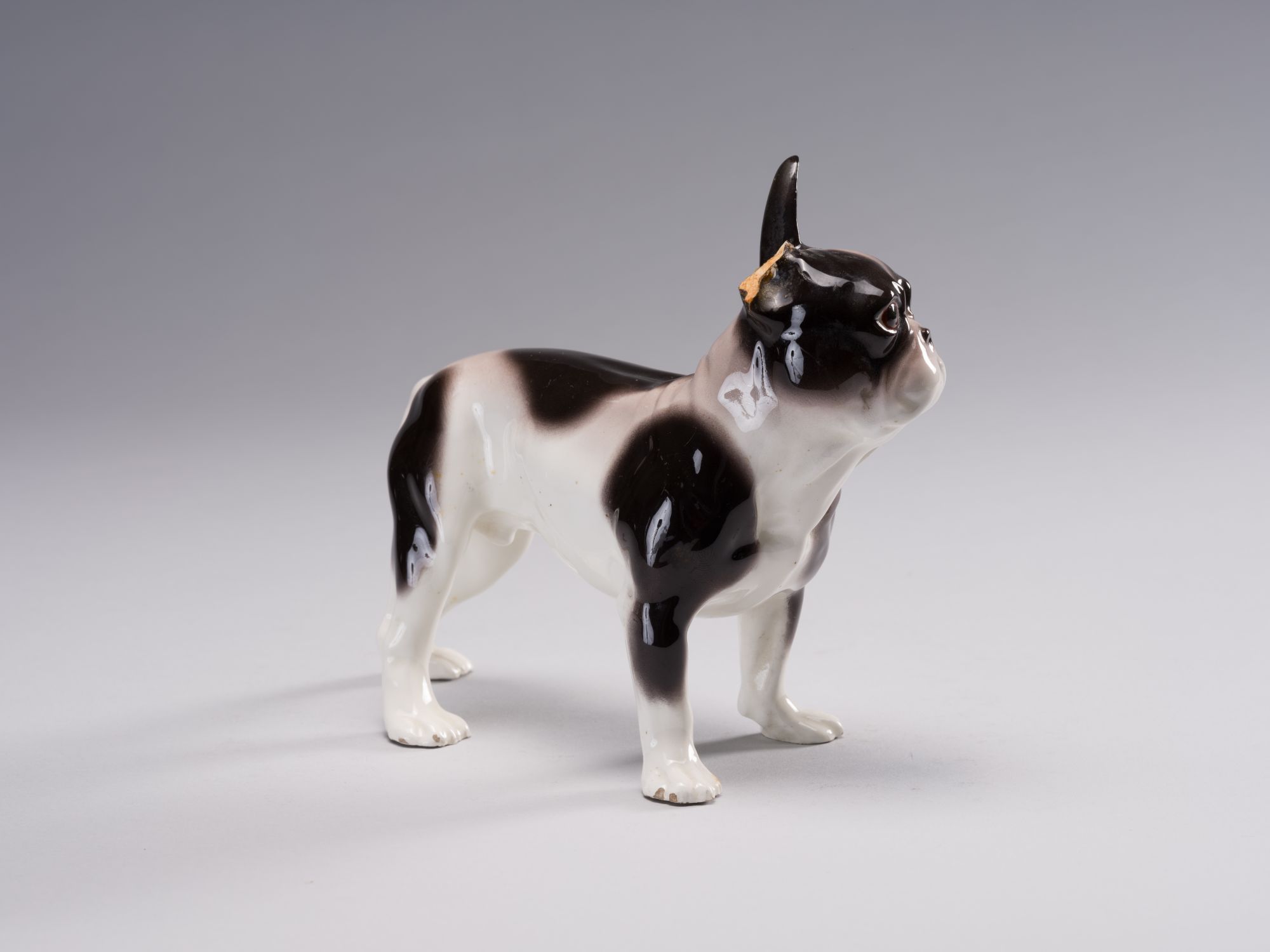 Statuette of a French Bulldog 9