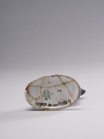 Hen Figurine 9
