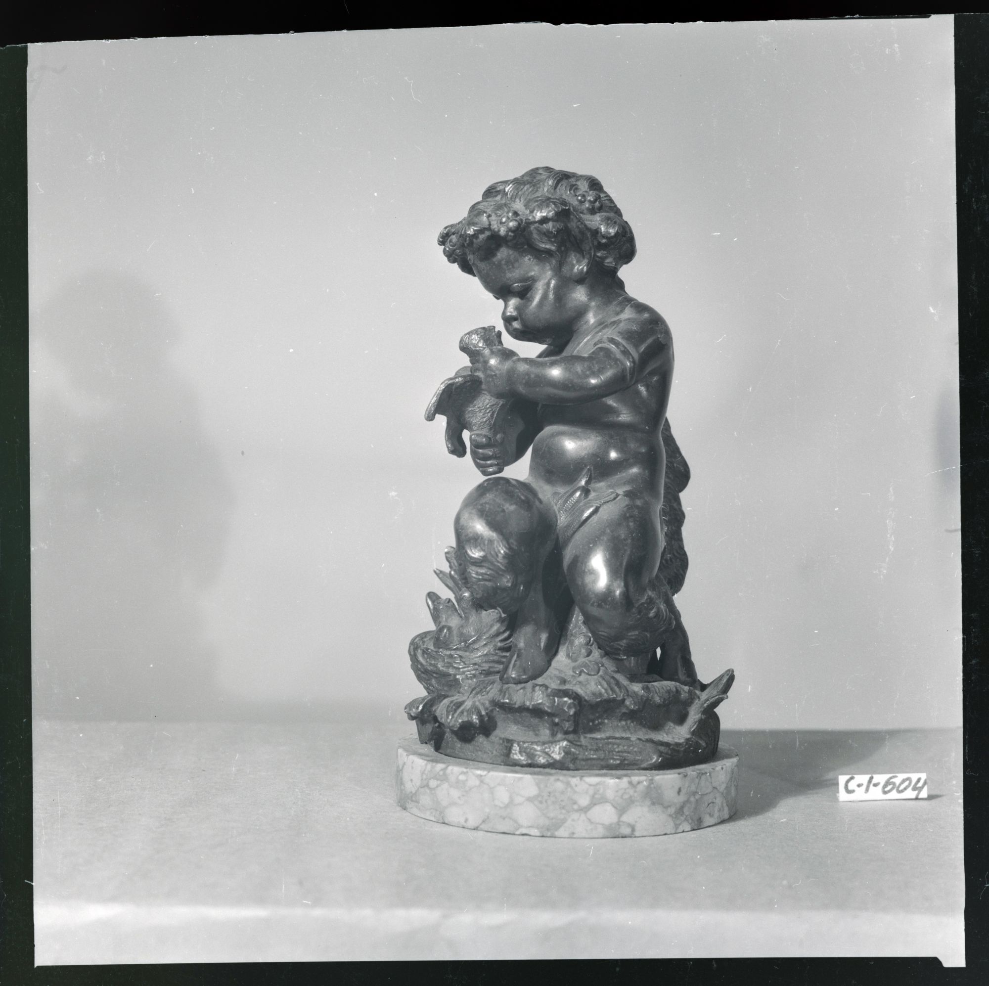 Young Faun