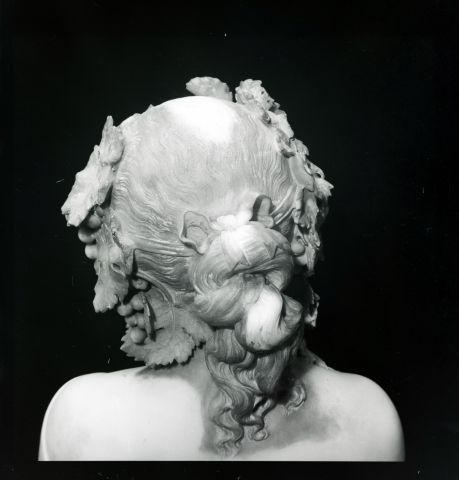 Girl with a Wreath of Grapes on Her Head 9
