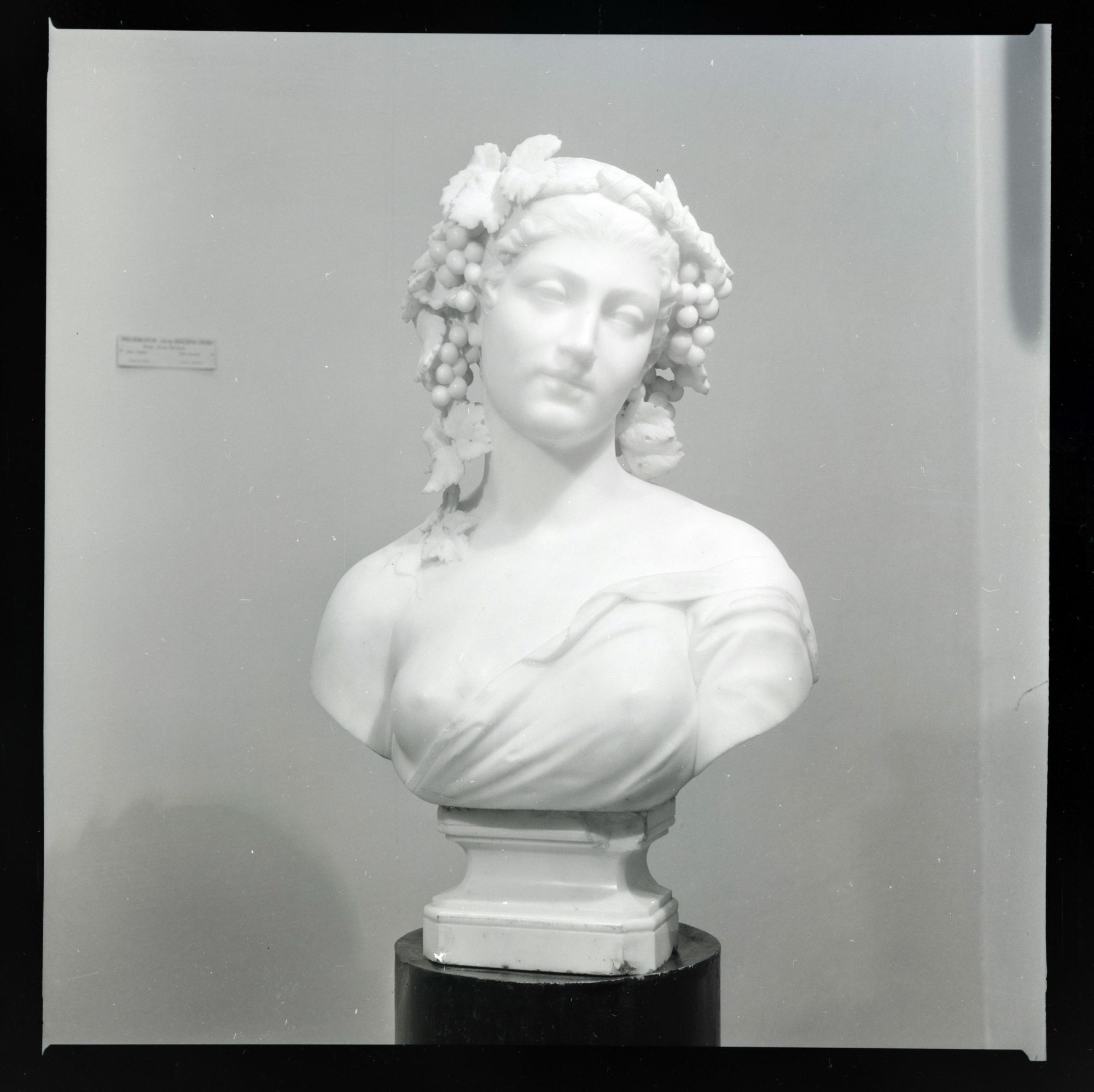 Girl with a Wreath of Grapes on Her Head 5