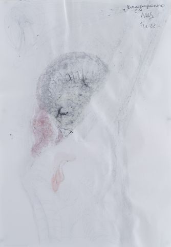 Серія «Львівський щоденник» 2