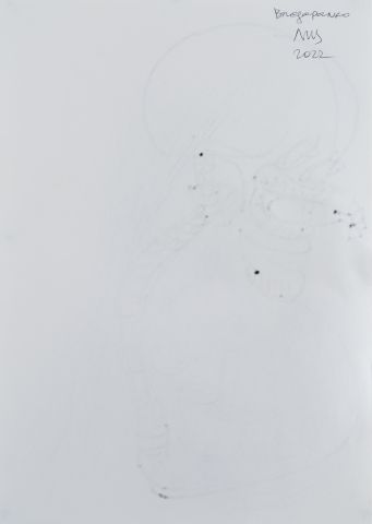 Серія «Львівський щоденник» 2