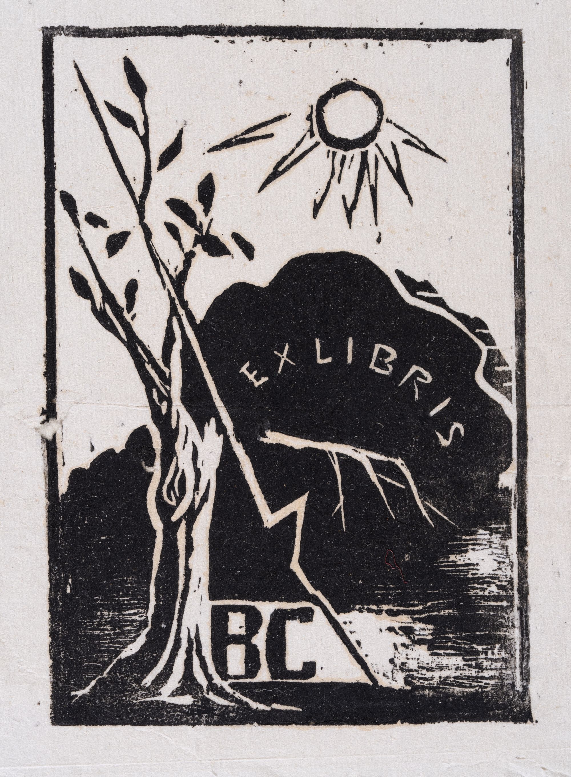 Екслібрис «В.С.» (Віри Свєнціцької)