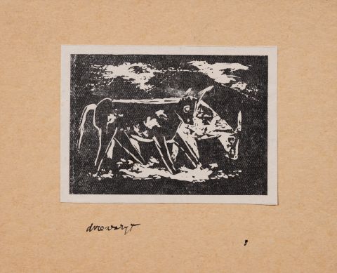 Oxen 1