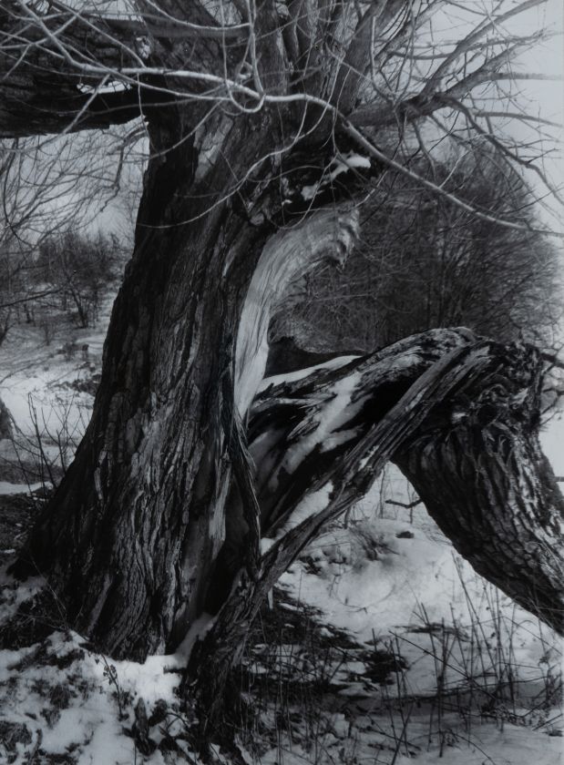 Untitled — Volodymyr Olkhomiak
