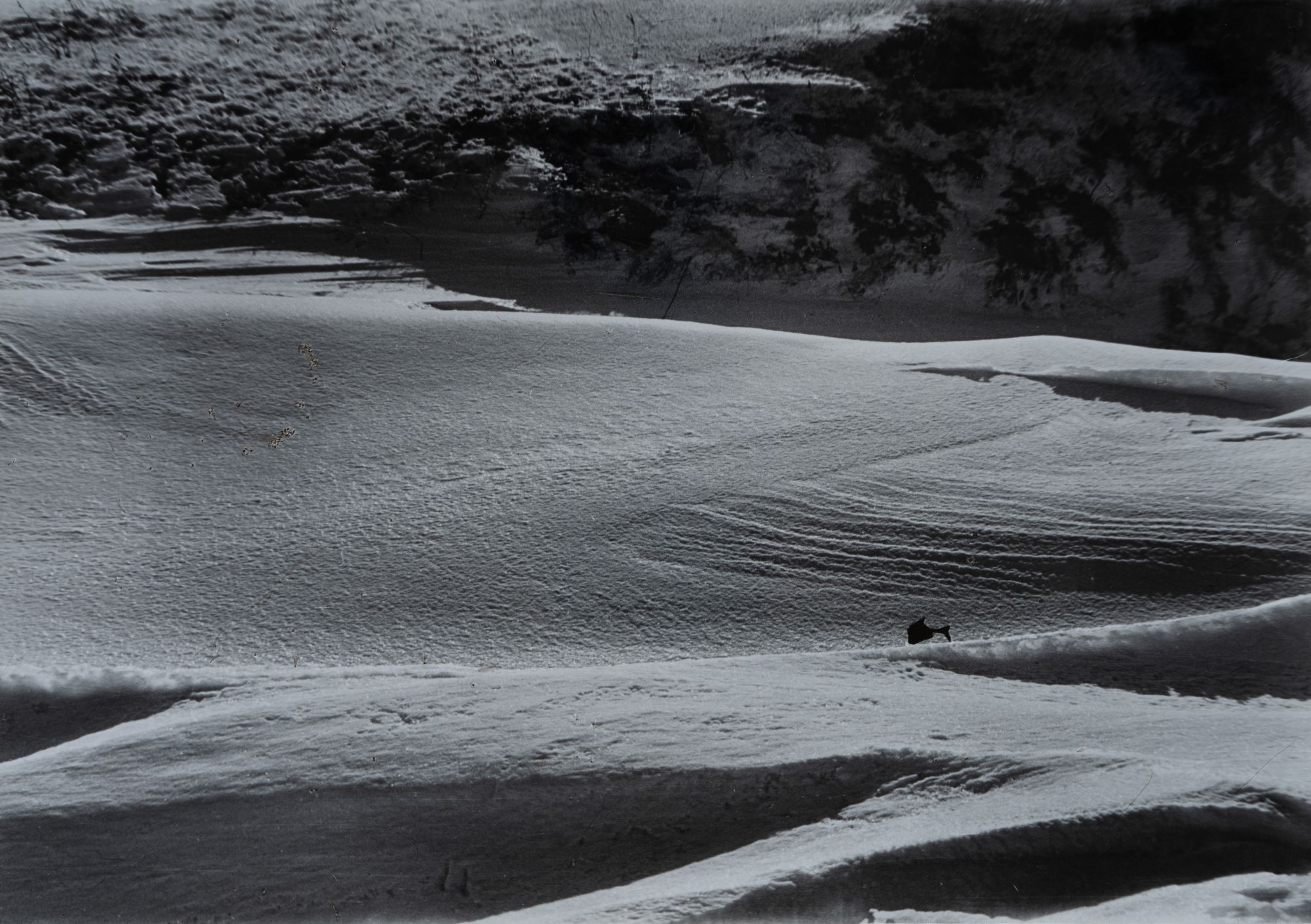 Snow Dunes