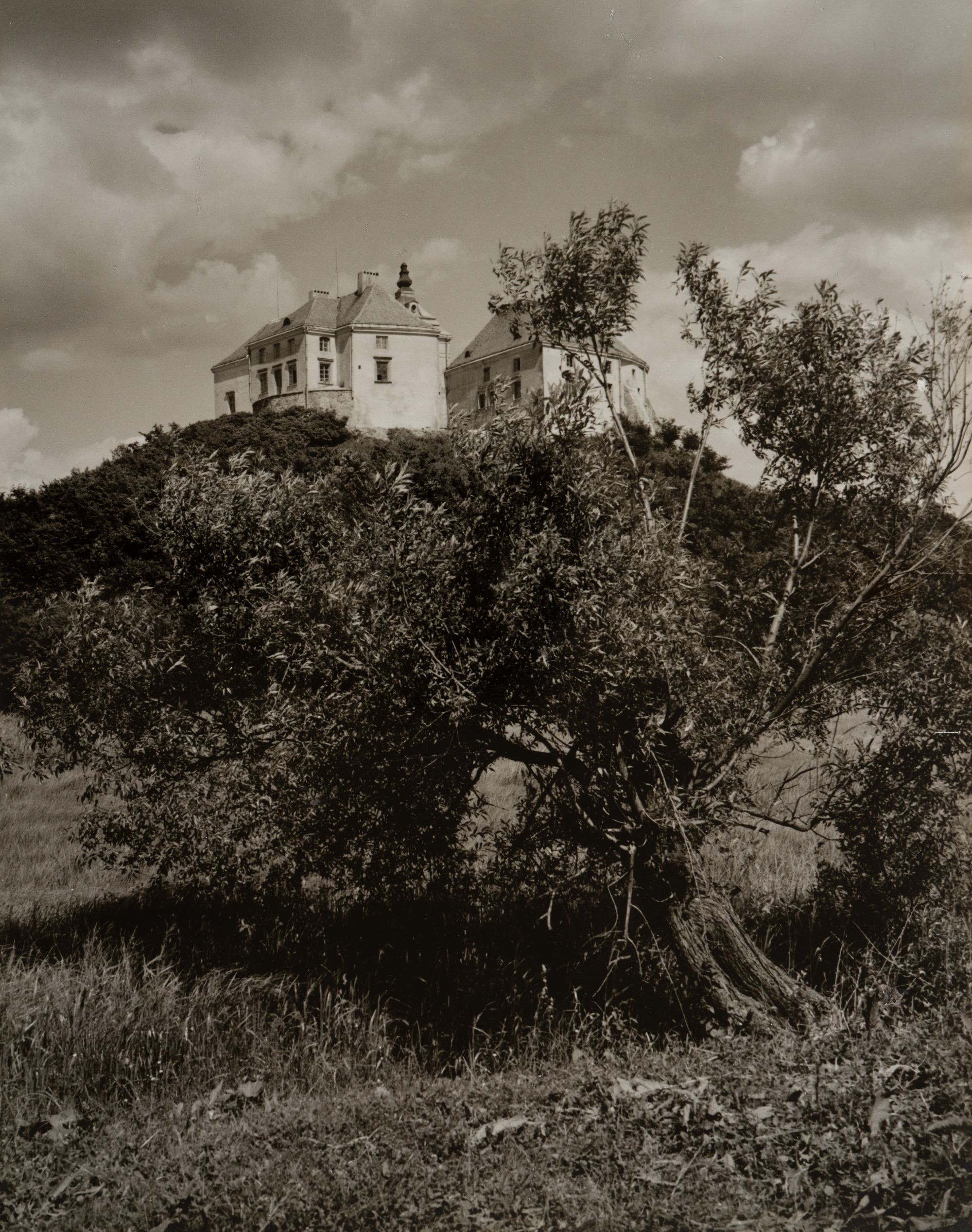 Олеський замок