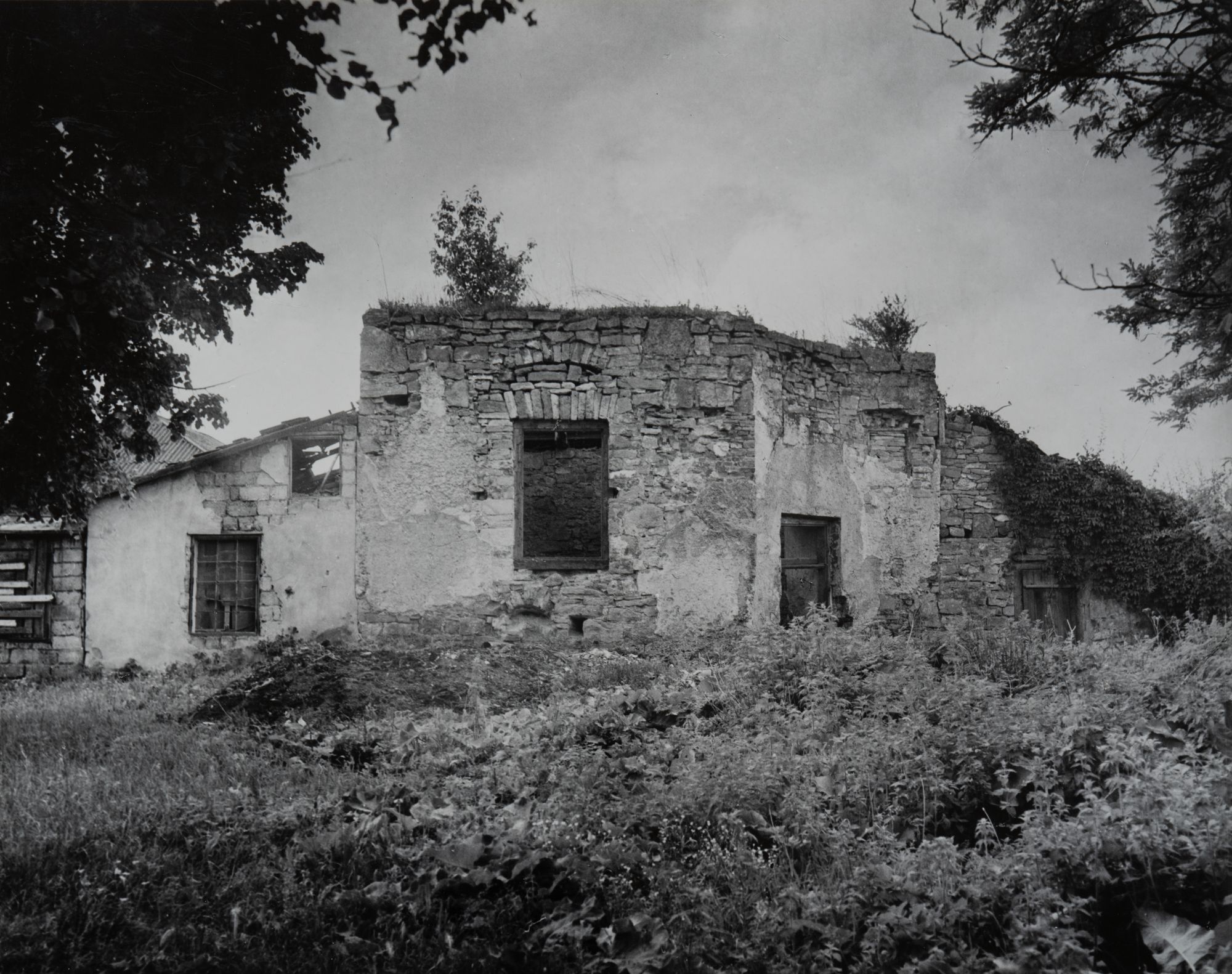 Castle of the 15th c. (South Tower)