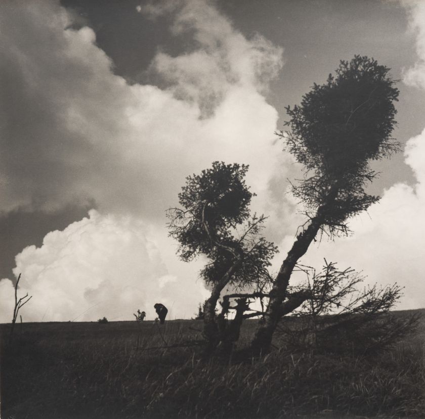Без назви — Володимир Ольхомяк