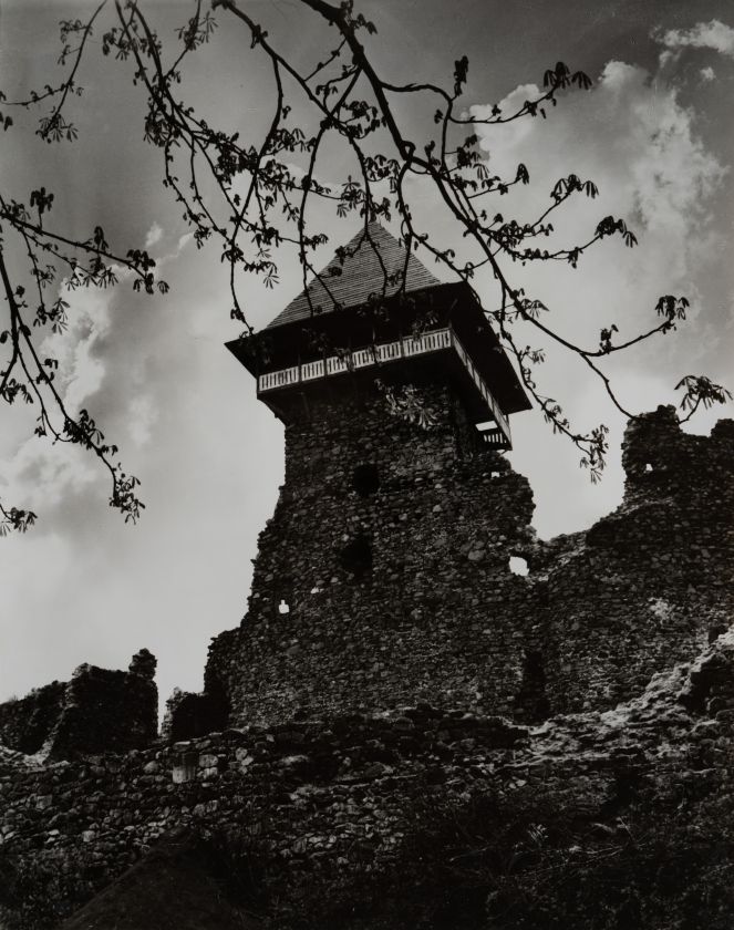 Руїни замку XIII – XIV ст. — Володимир Ольхомяк