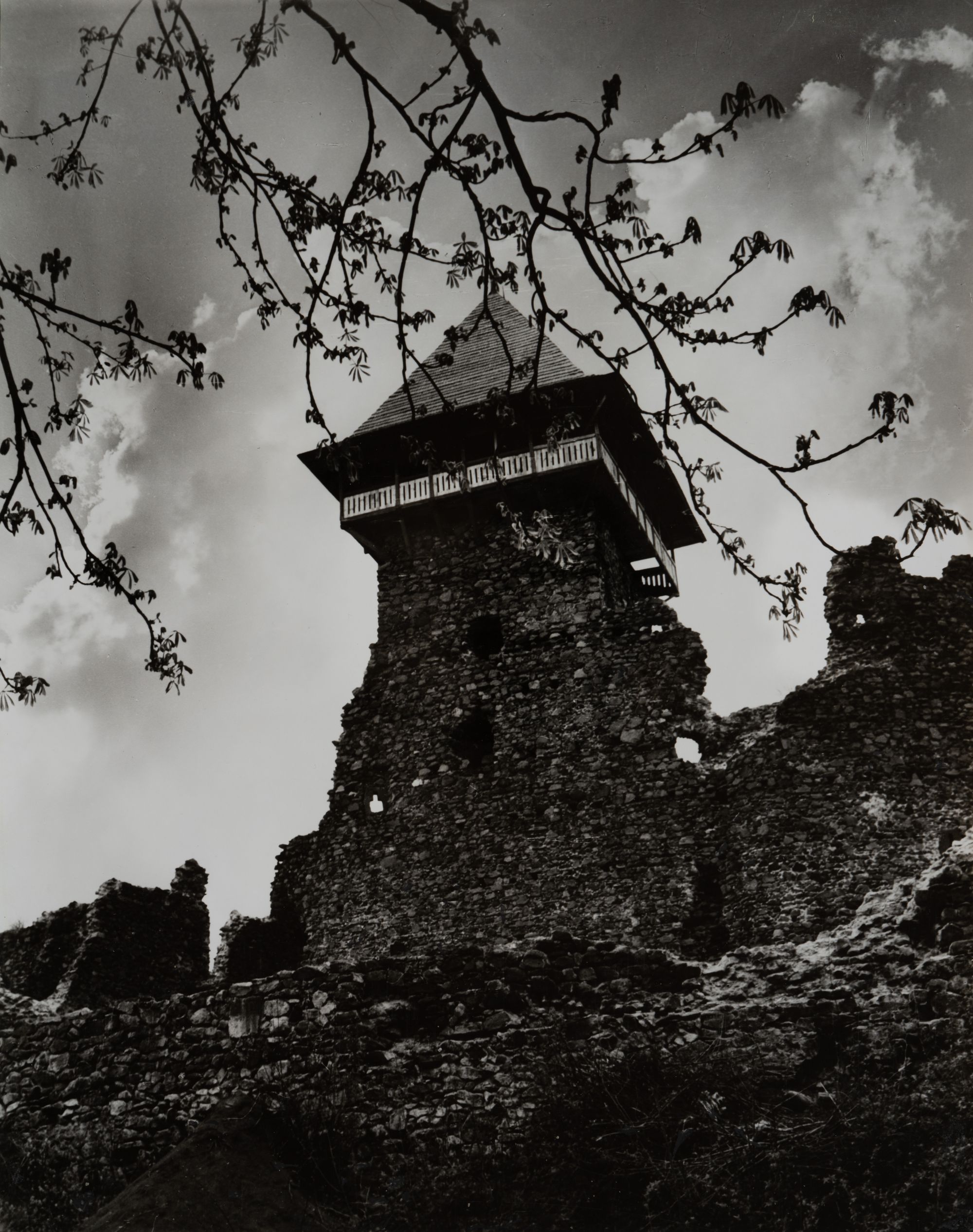 Ruins of the Castle of the 13th–14th c.