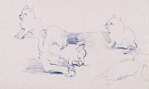 Cats. Sketches 1