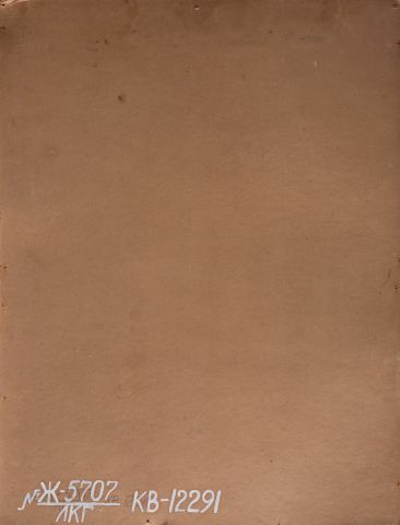 Portrait of Zh. Maksymovych 2