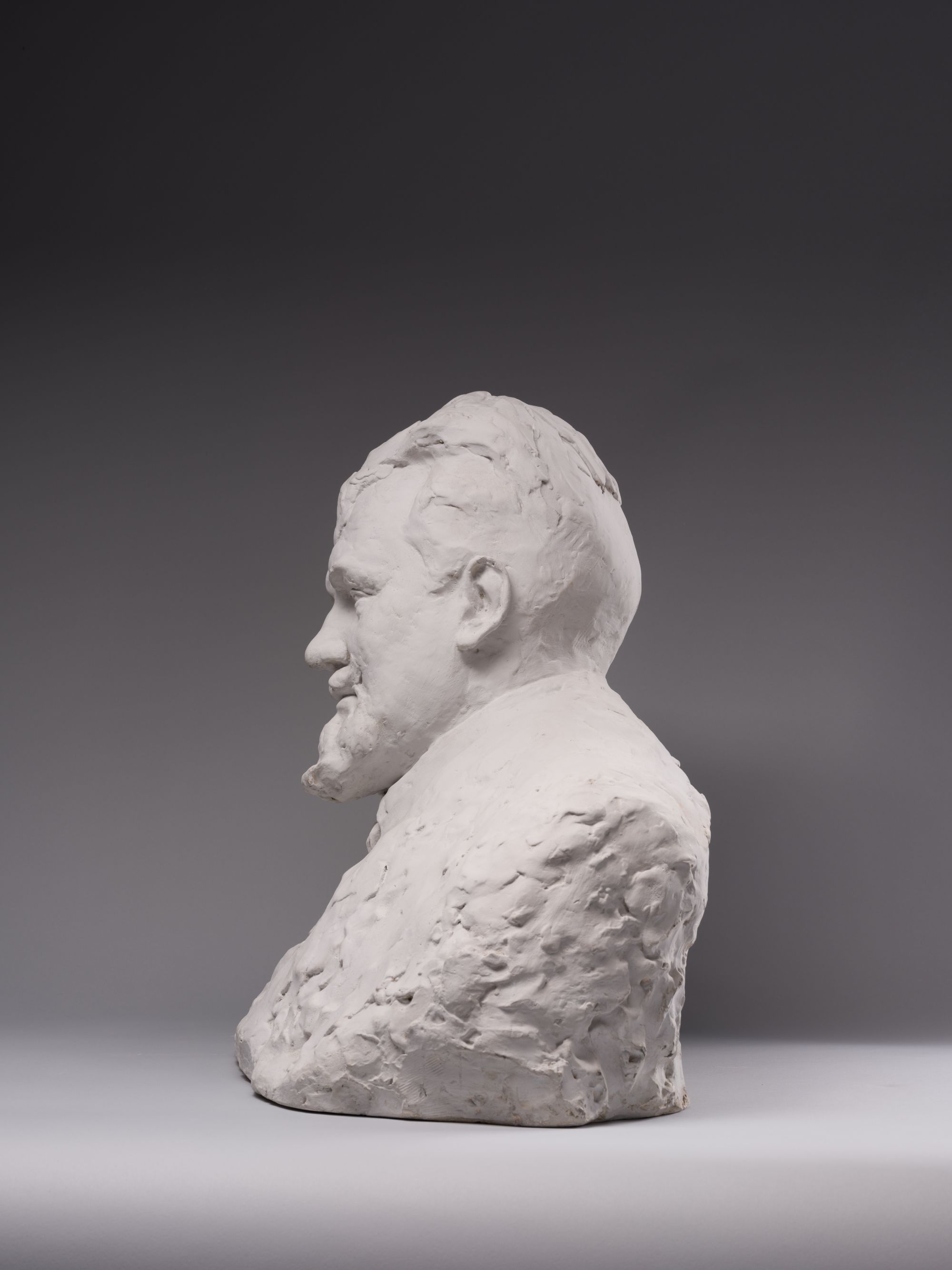 Bust of Jan Kasprowicz 3