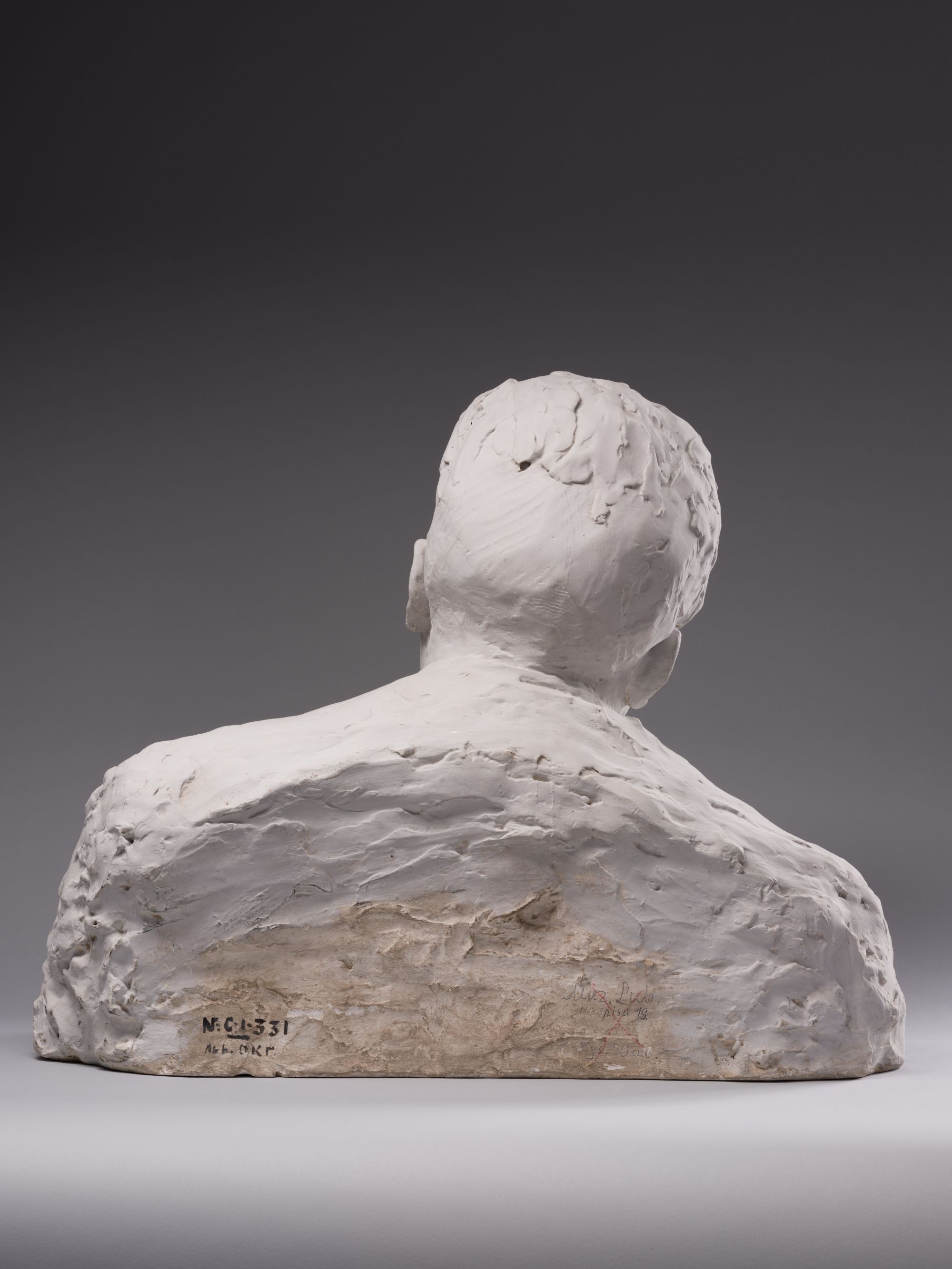 Bust of Jan Kasprowicz 4