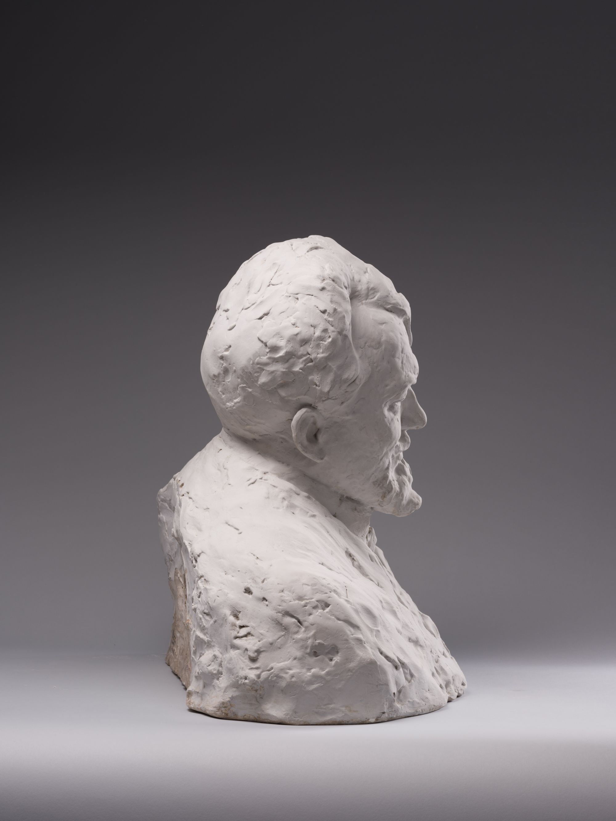 Bust of Jan Kasprowicz 5
