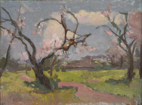 Landscape 1