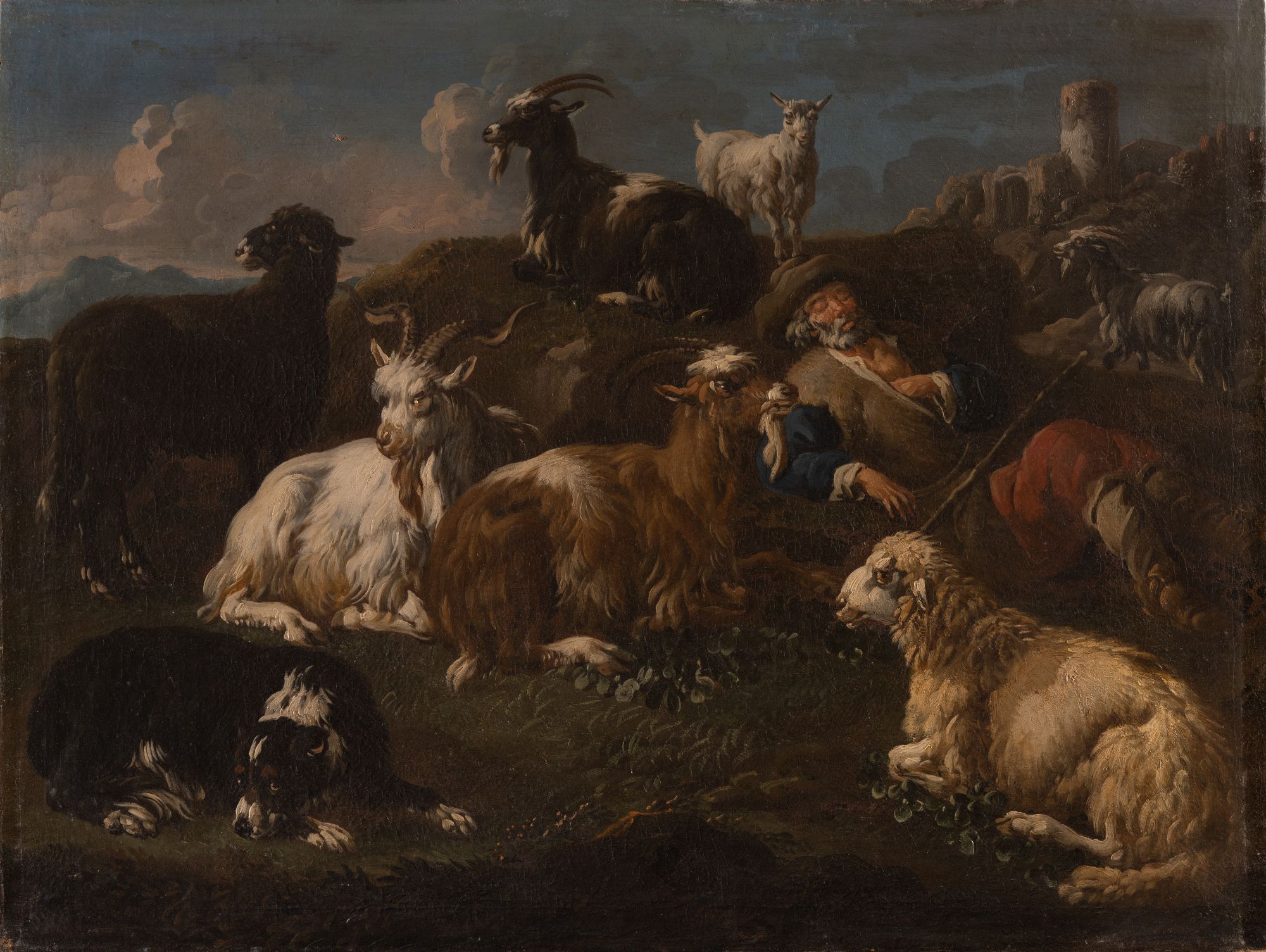 Herd 1