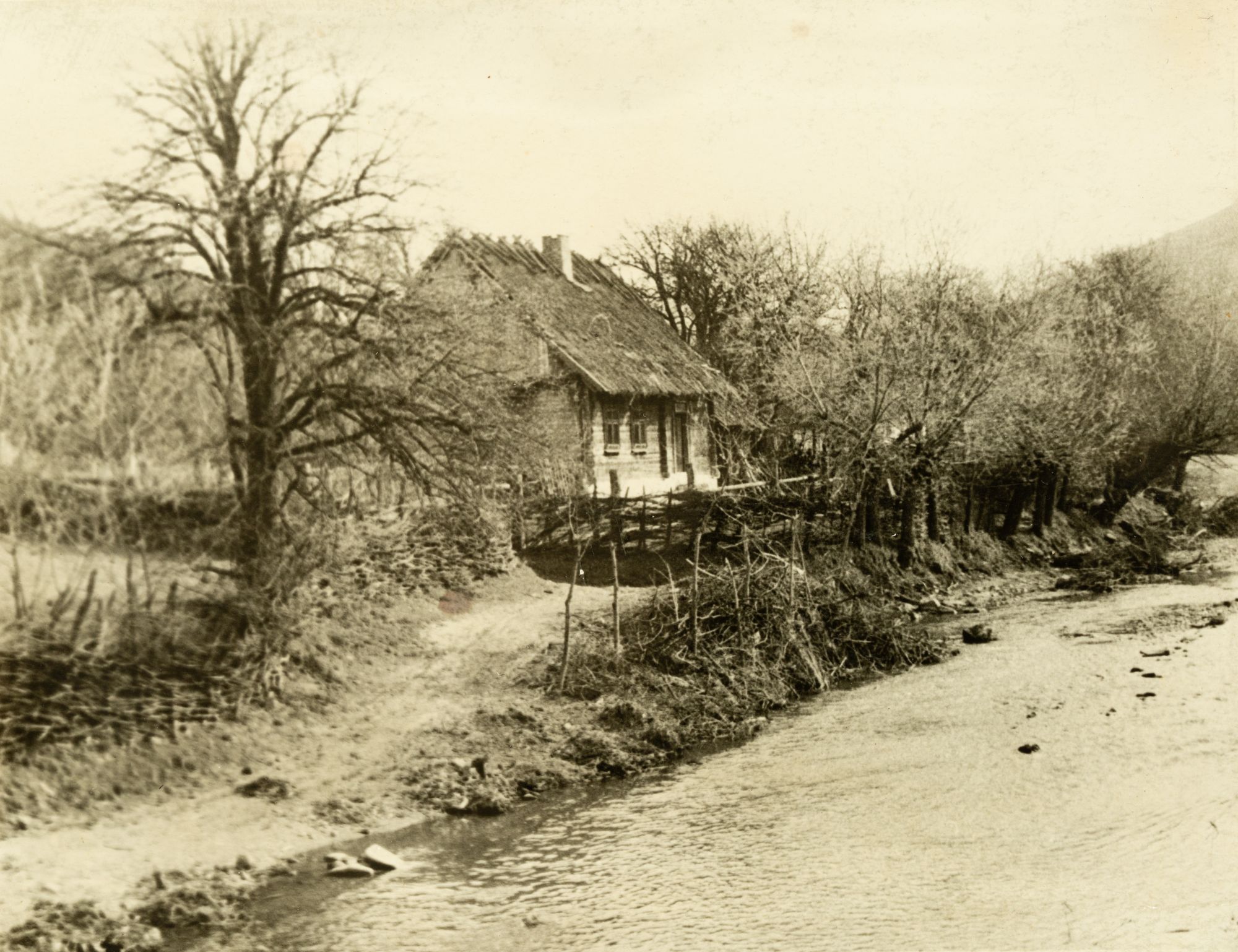 House by the River