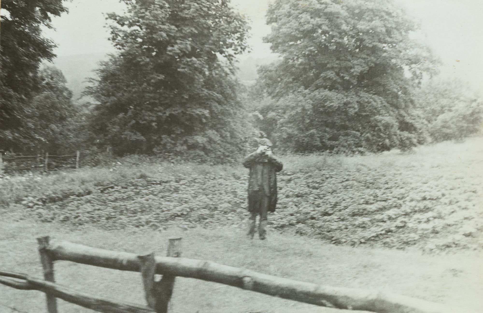 Landscape with a Figure