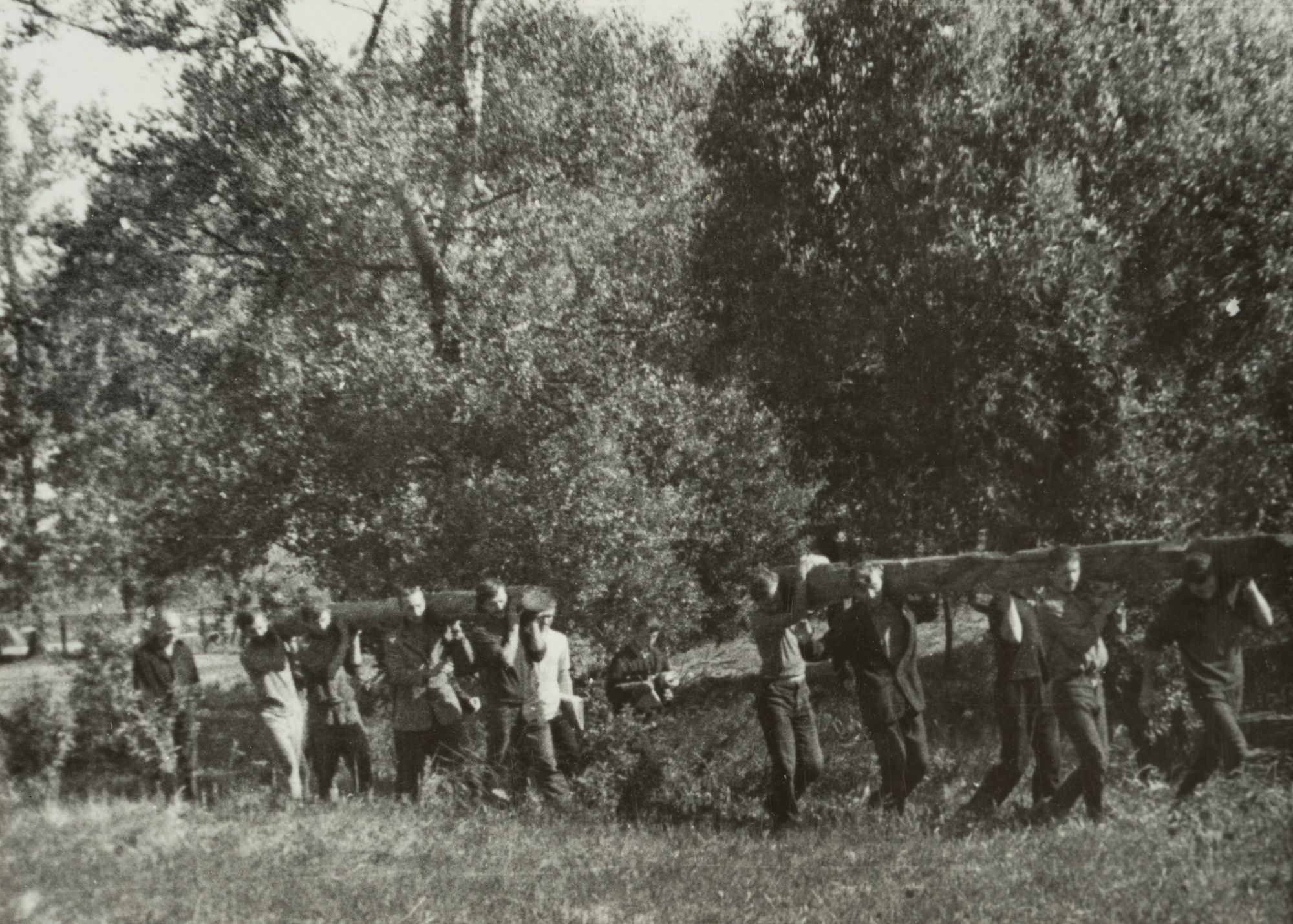 Photo of the Work Process
