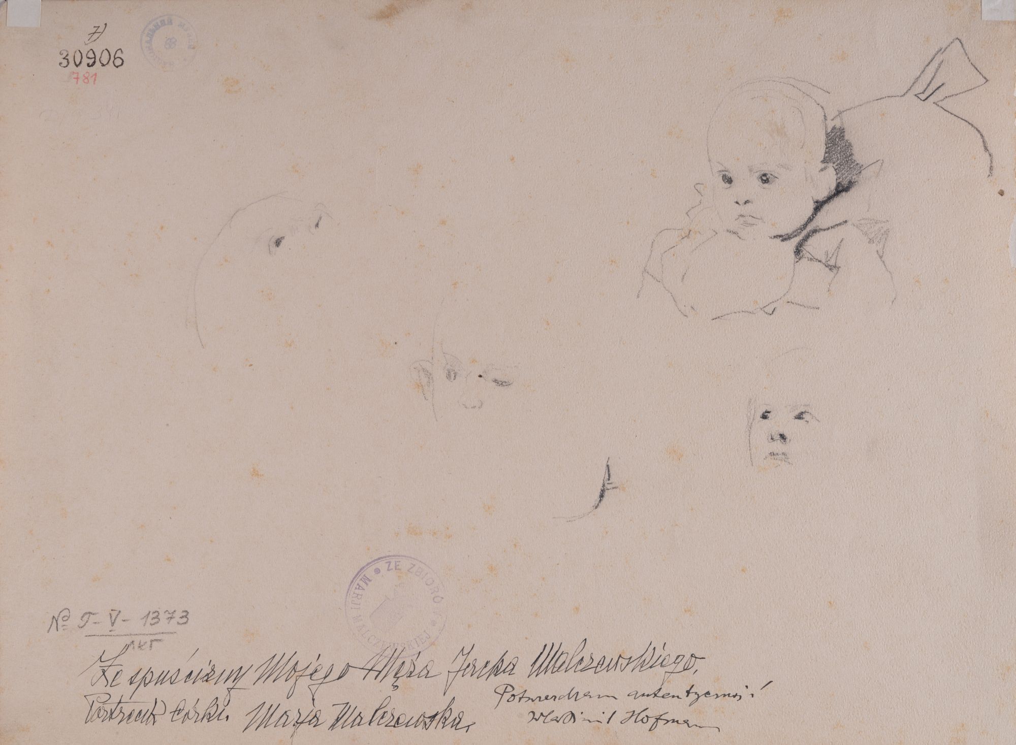 Sketches of Figures 2